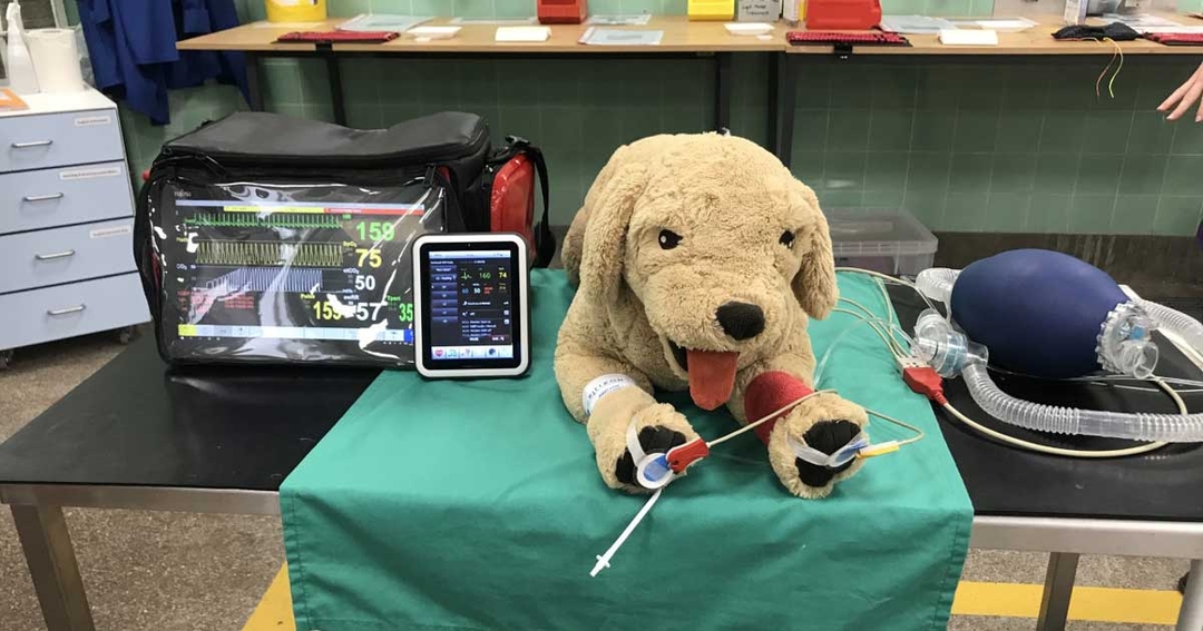Virtual Tilly helps Bristol students practise emergency skills