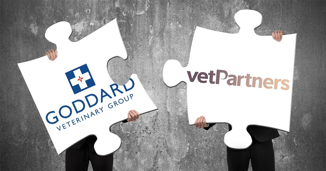 VetPartners announces Goddard takeover 
