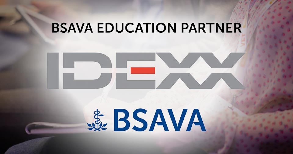 BSAVA announces partnership with IDEXX for education resources