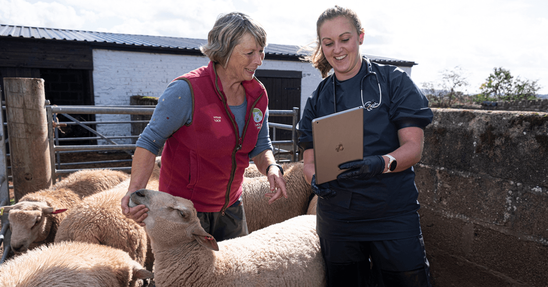 Project launches to tackle antimicrobial resistance in Wales