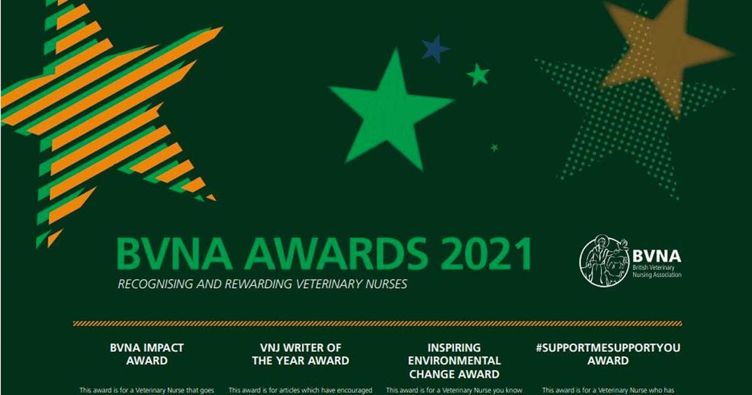 BVNA Awards: winners revealed at congress