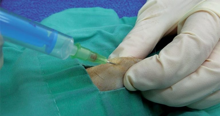 Interpreting blood profiles in non-domestic small mammals