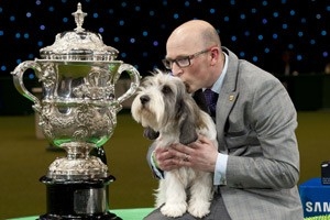 The fanatical pursuit of canine appearance