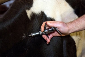 Squabbles ahead on TB tests