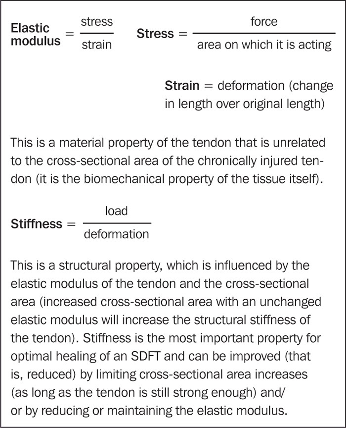 TENDON INJURIES IN HORSES – TREATMENT AND HEALING