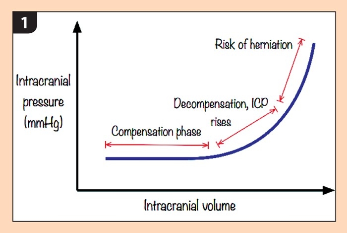 Benefits of total intravenous anaesthesia in dogs and cats