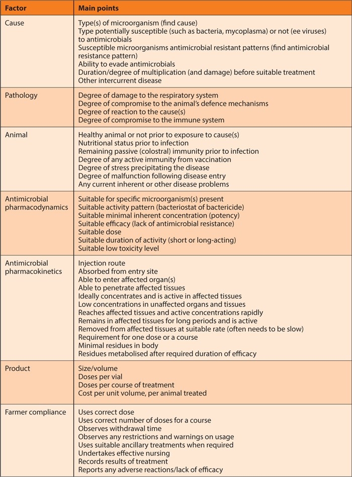 Choices around treatment of calf respiratory disease