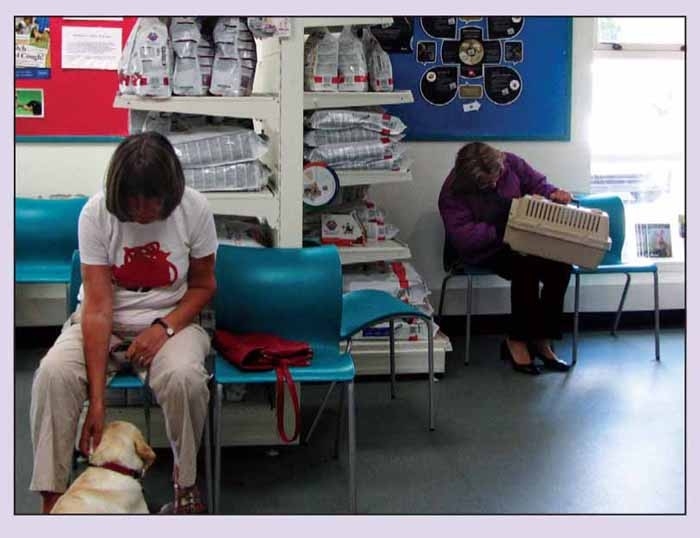 Is your practice rabbit friendly?
