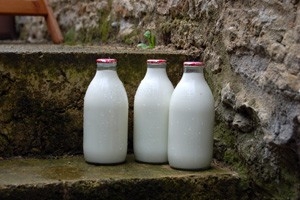 Milk: man&#8217;s first superfood and evolution edge