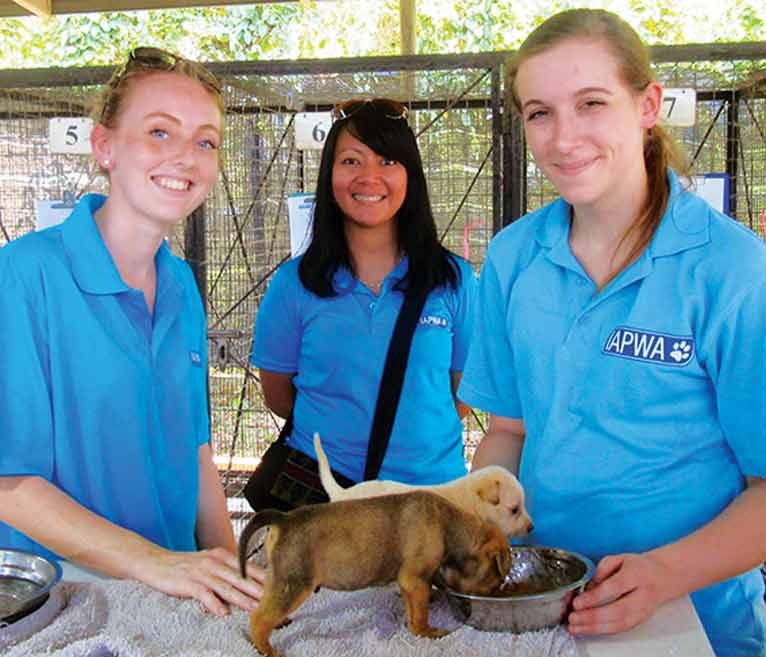 Charity works wonders for canine aid abroad