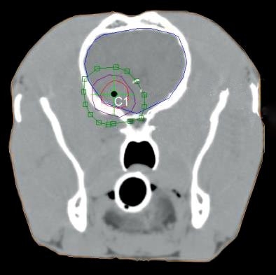 Radiotherapy and tumours in veterinary practice: part one