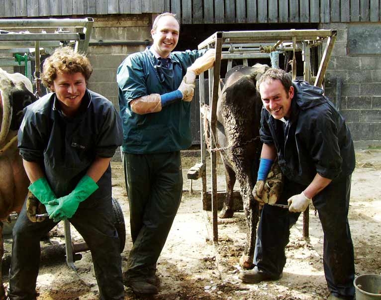 XLVets: collaborating for 10 years