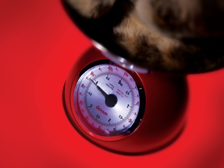 Tackling obesity in cats and dogs: how to get the balance right