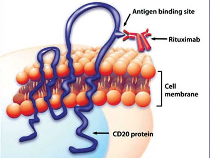 New treatments for cancer