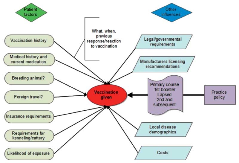 Routine vaccination protocols