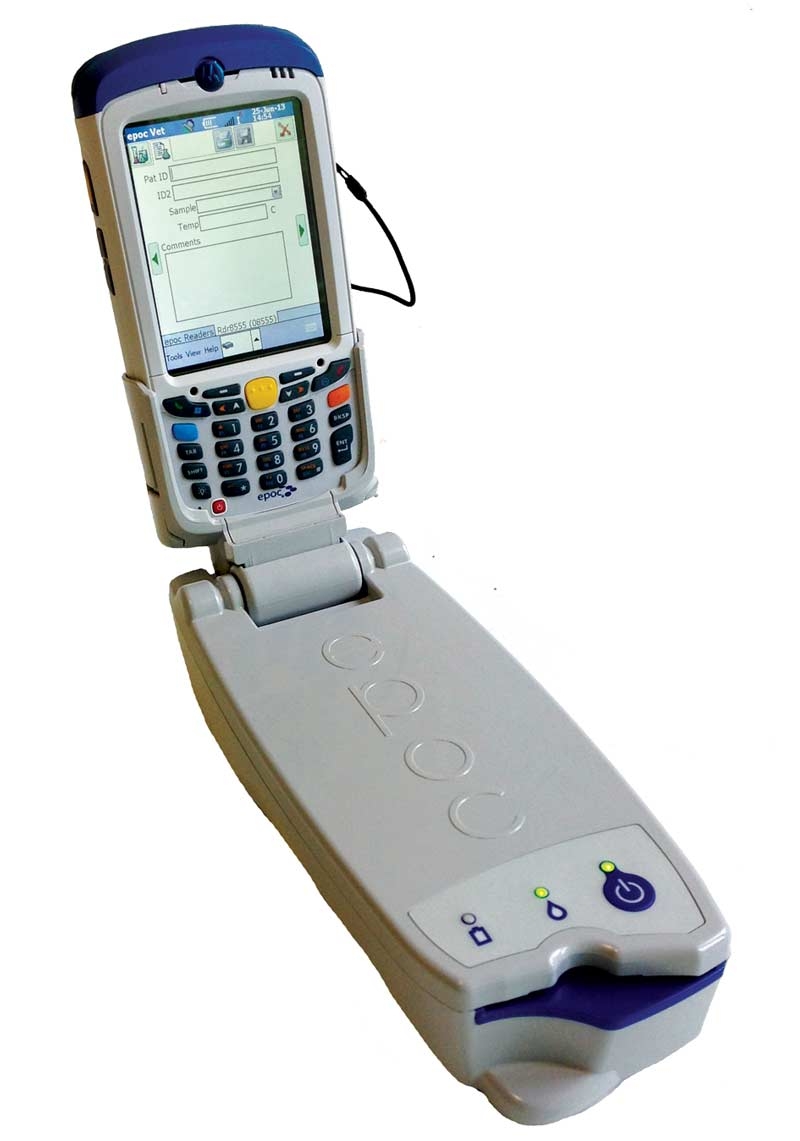 Usefulness of lactate measurement in practice