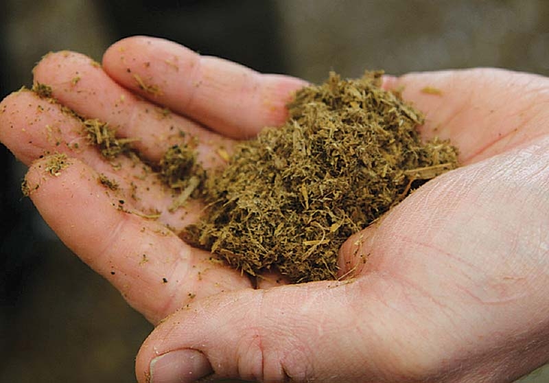 Delegates brush up on ways of tackling bovine mastitis