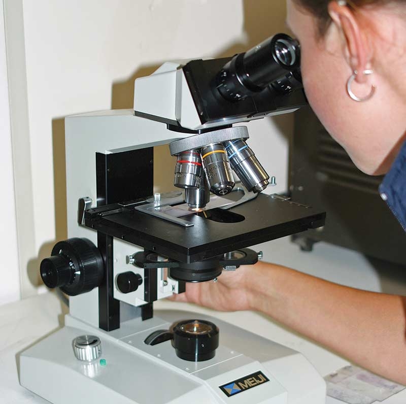 Diagnosing and controlling development of sheep scab