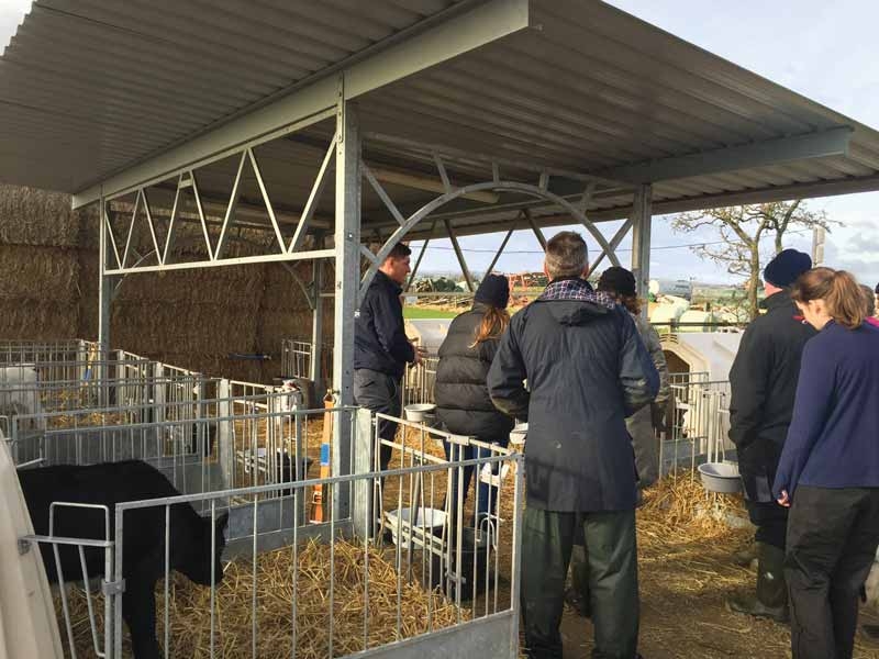Vaccination compliance: how can vets motivate farmers?