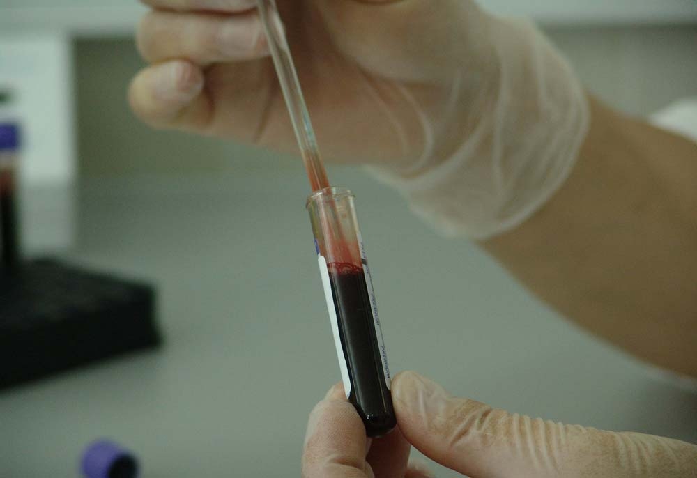 Samples needed for equine flu testing scheme