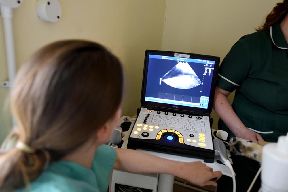 Lincolnshire practice makes £50k investment
