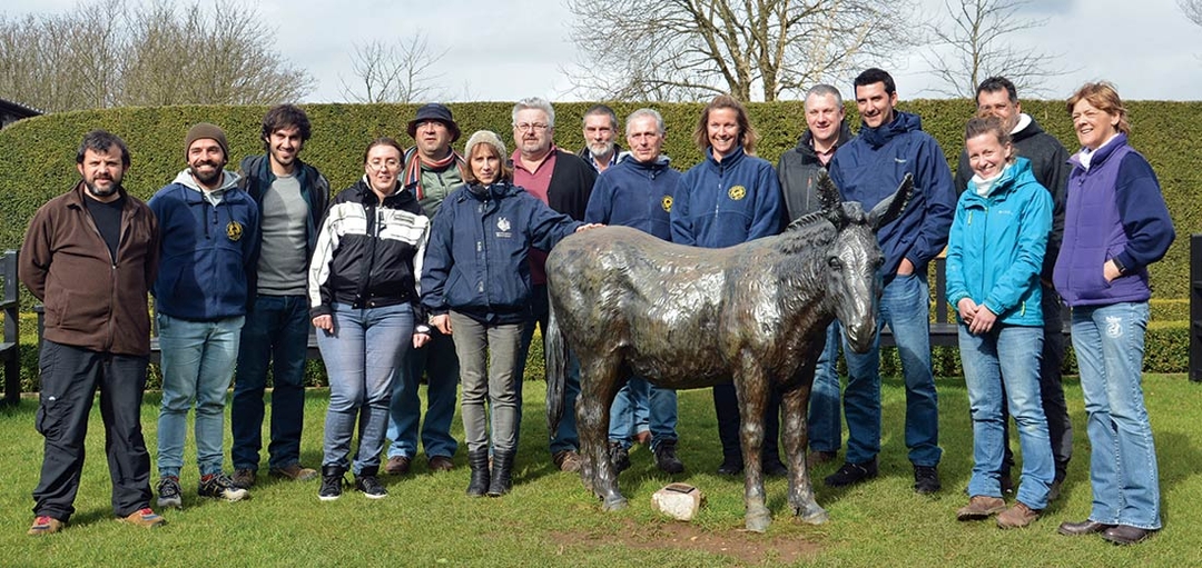 Working with ‘invisible equines’
