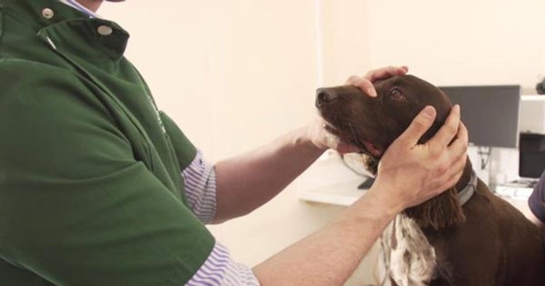 VIDEO ONE: ‘Back to Basics’ ophthalmology CPD