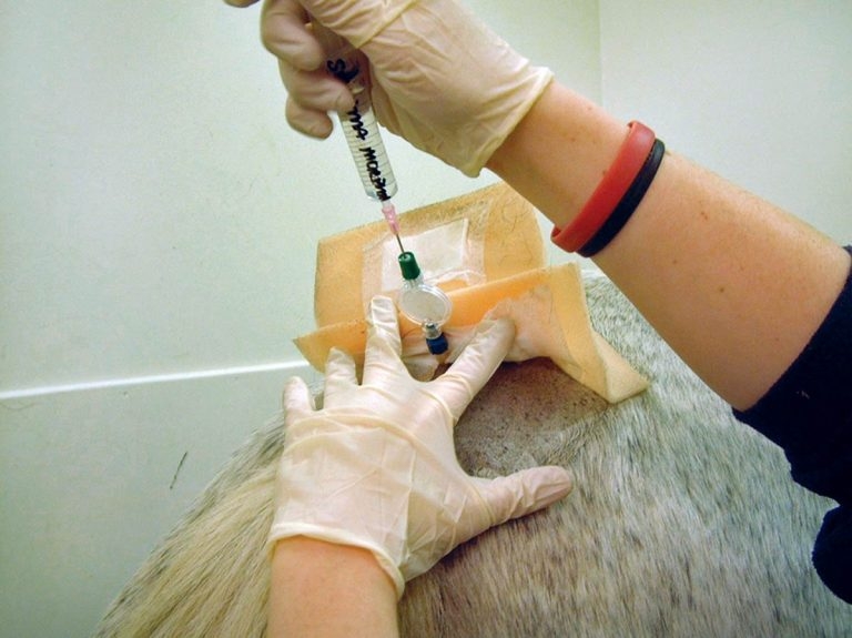 Pain management: advances and possible complications
