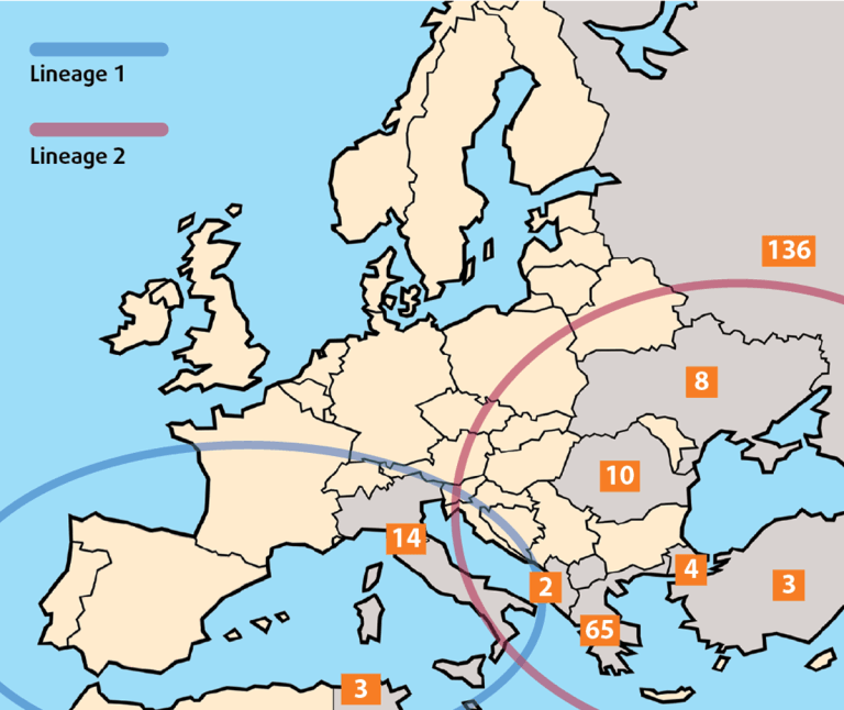 Infectious diseases: topical, new and emerging threats to UK equines