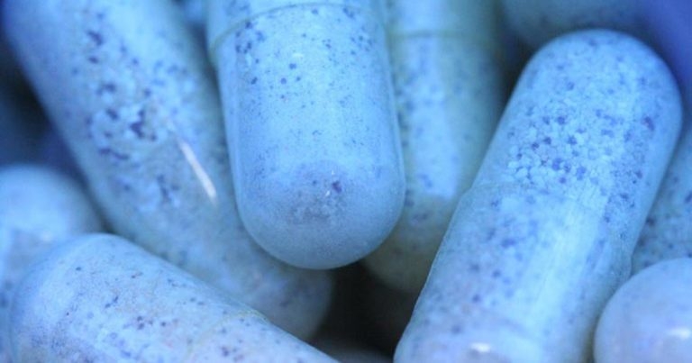 Study shows most vets worried about AMR 
