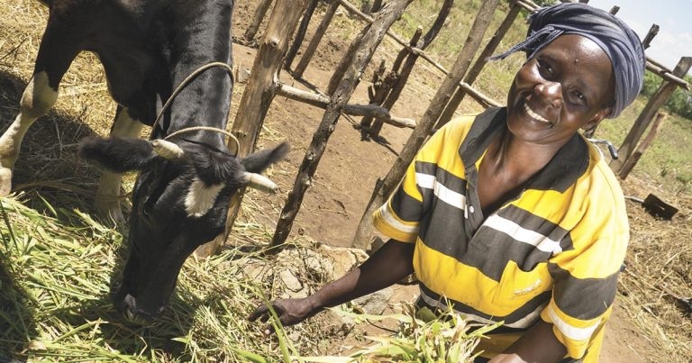 Charity shares its mission of changing African families&#8217; futures