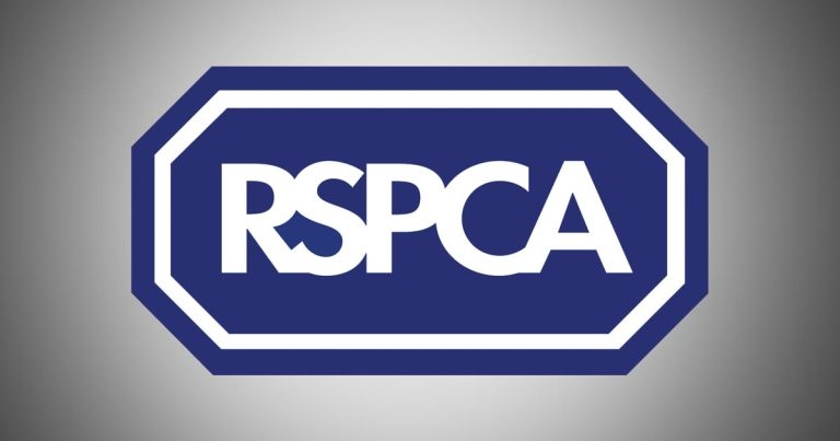 RSPCA plea following cat death horror