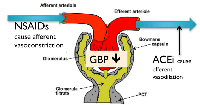 Management and treatment of hypotension and hypertension
