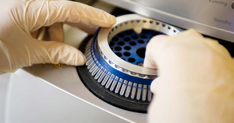 Approaches to managing and treating equine herpesvirus