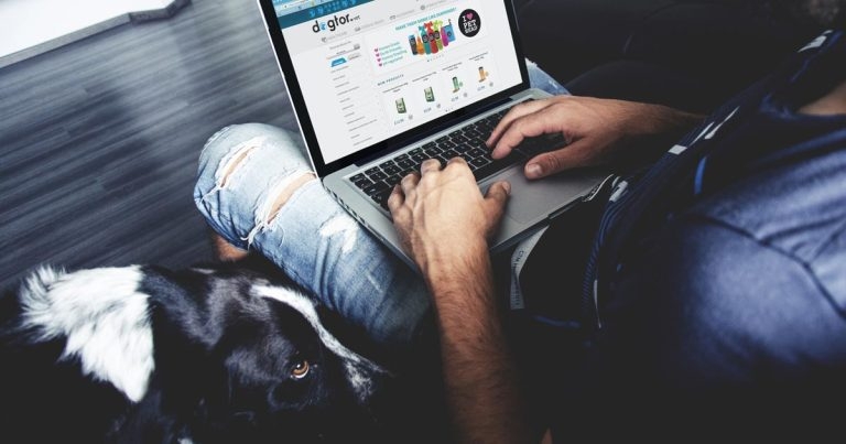 Online retailer also offers vet advice to pet owners