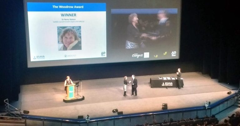BSAVA shines light on profession’s pioneers