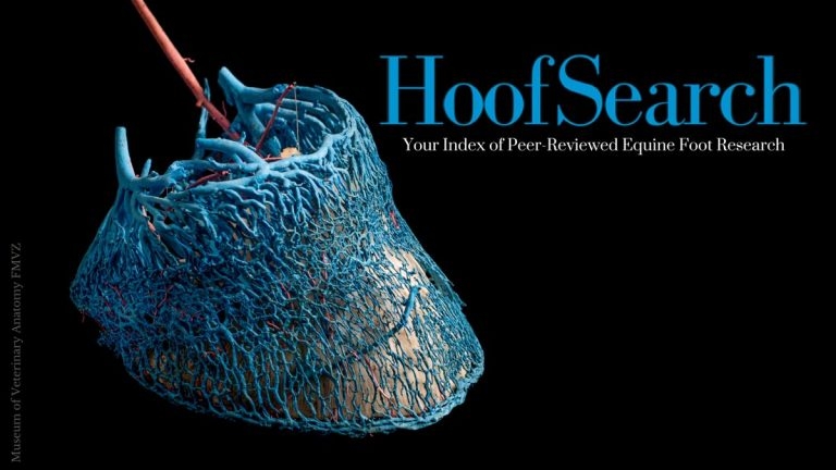 On the hoof service for equine foot data