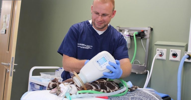 Referral centre gets teeth into dentals