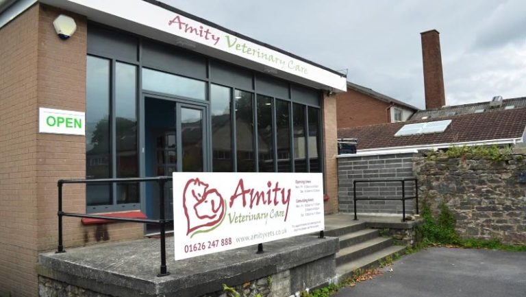 Practice Profile: Amity Veterinary Care