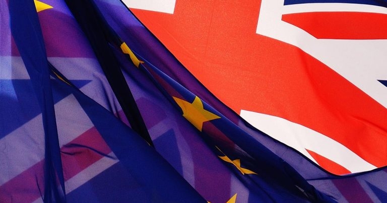 Big response to RCVS Brexit survey