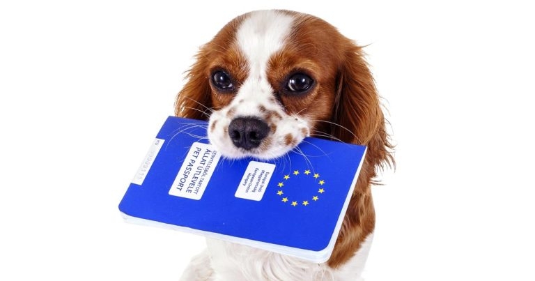 EU crackdown on pet passports proposed
