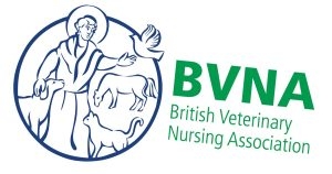 From oncology RVN to BVNA junior vice-president