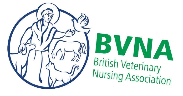 From oncology RVN to BVNA junior vice-president