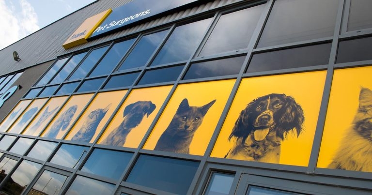 Practice Profile: Frank Pet Surgeons