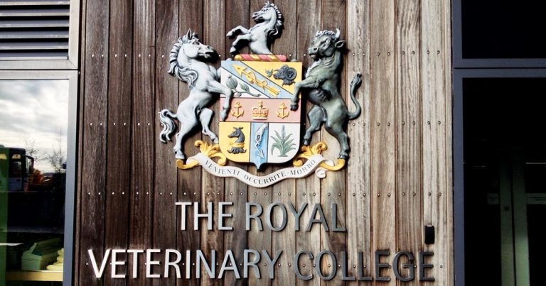 RVC is top vet school outside US