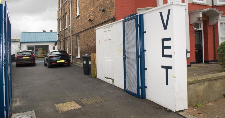 Practice Profile: The London Animal Hospital
