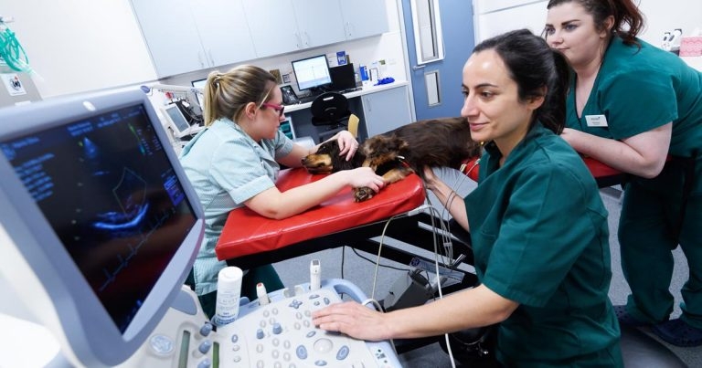 ‘State-of-the-art’ cardiology suite for Willows