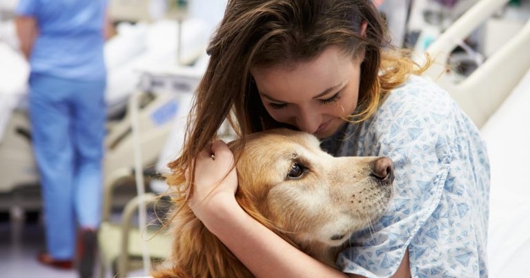 Therapy dogs offer fibromyalgia management option – study