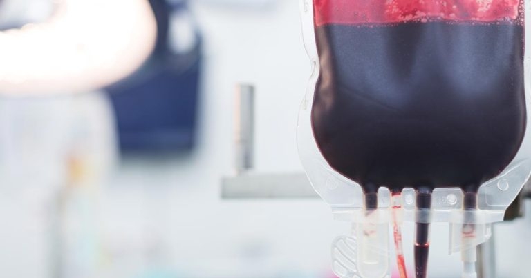 RVC awards pet blood donors to mark world awareness day