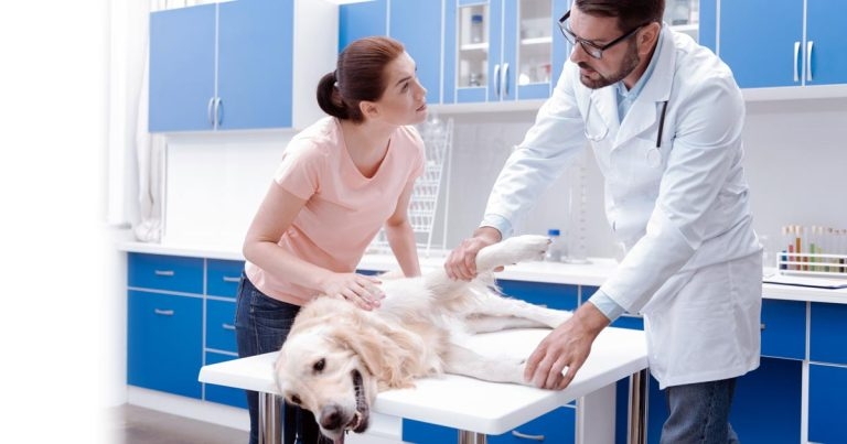 Holistic OA management: getting clients on board
